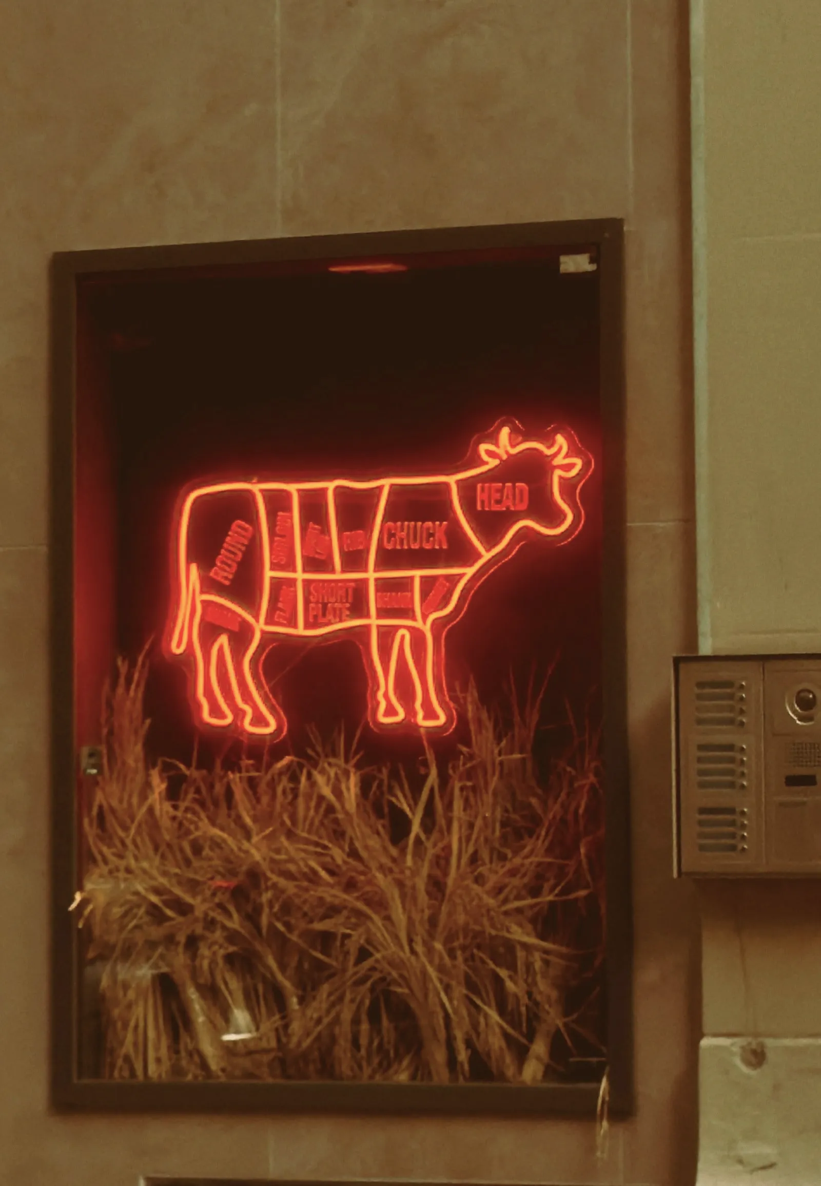 A red neon cow sign glowing on the wall