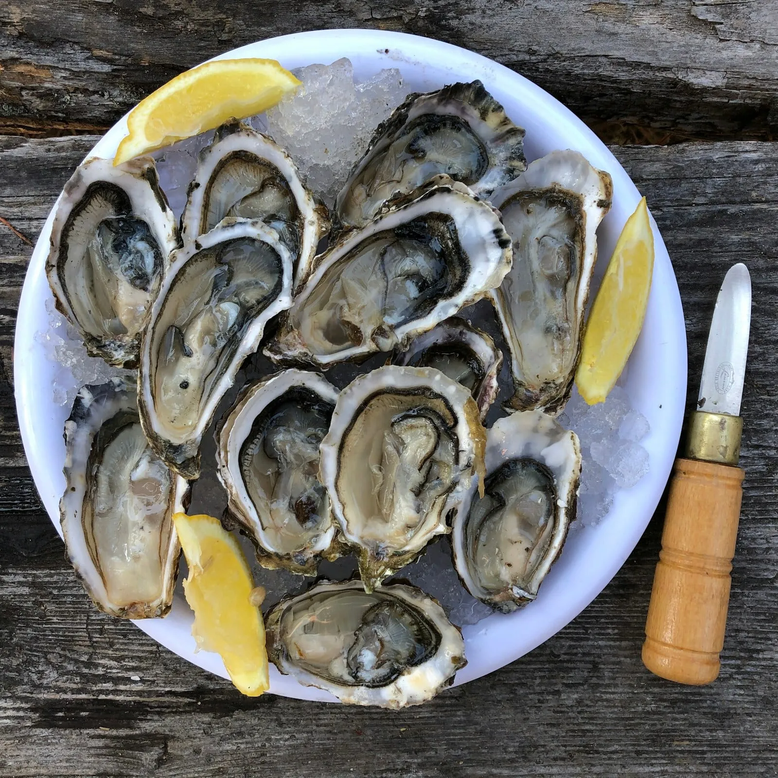 A platter of oysters on the half shell with lemon and an oyster knife