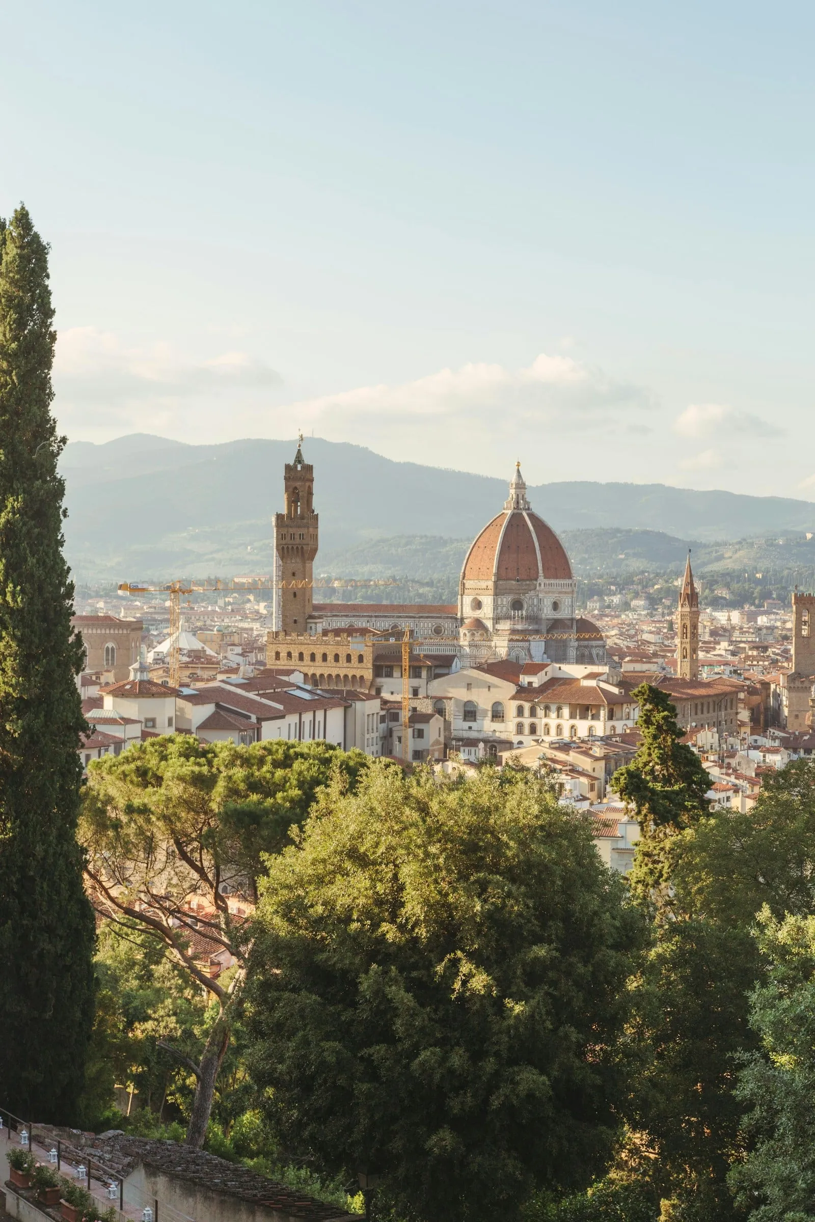 The domes and rooftops of Florence seen from the hills